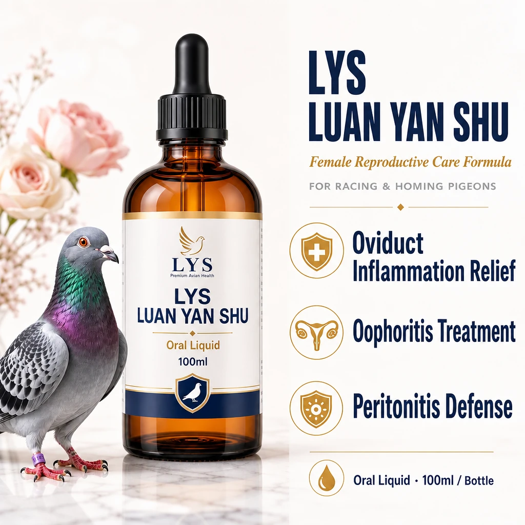 LYS LUAN YAN SHU pigeon oral liquid bottle labelled 100 ml